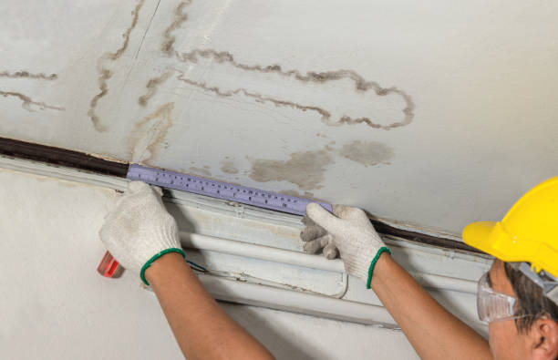 Reliable Mold Remediation contractor in Wrightsville, GA by Water Damage Irwin